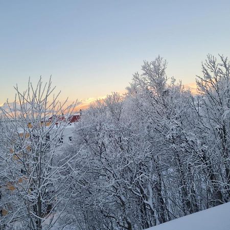 36 Sqm Studio Aparatment B Tromsø Zewnętrze zdjęcie