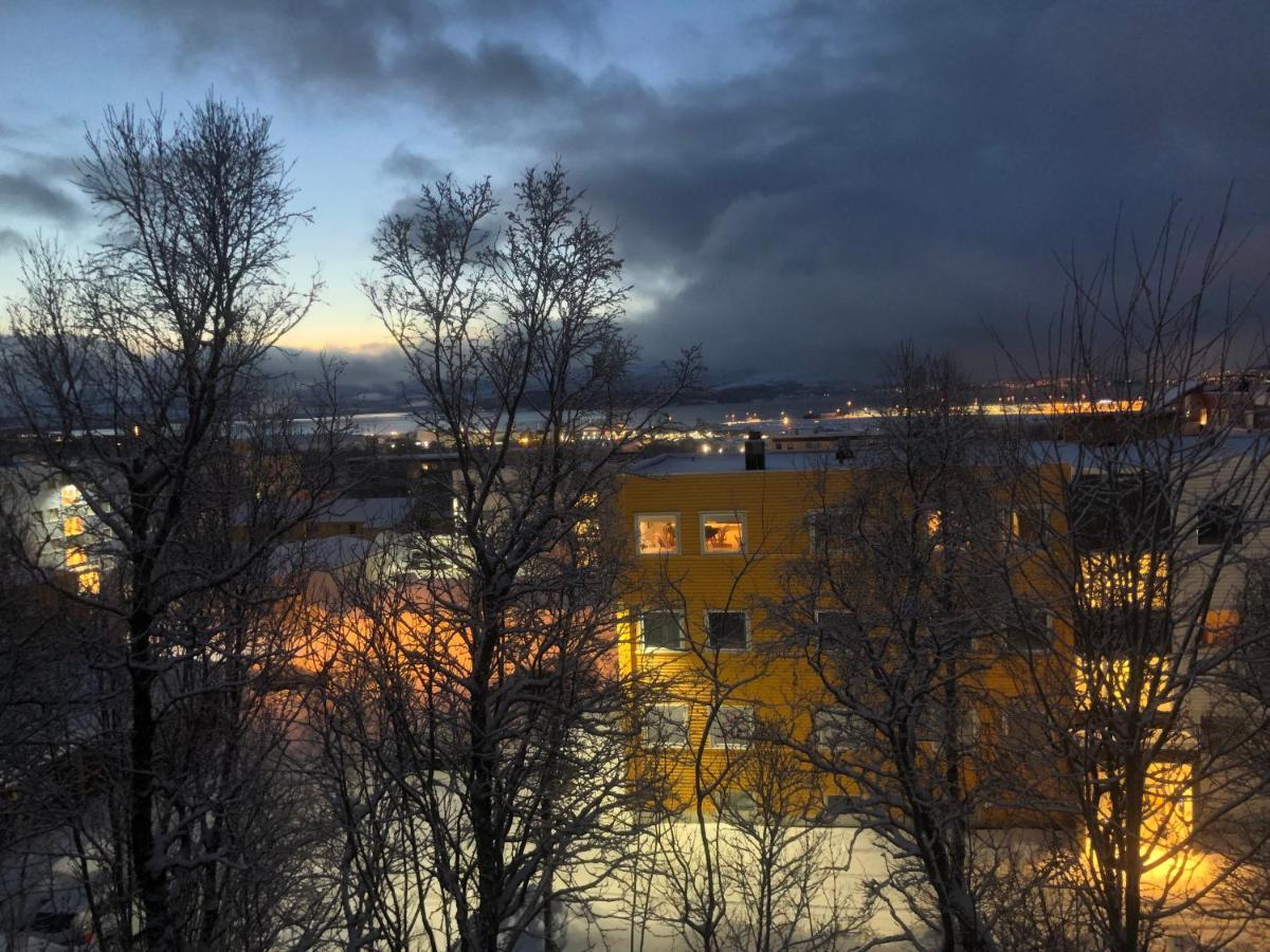 36 Sqm Studio Aparatment B Tromsø Zewnętrze zdjęcie